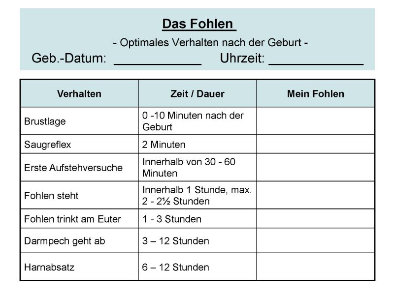 Checkliste_zur_Fohlengeburt_Seite_2